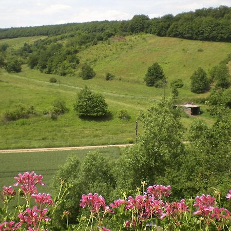 Landhotel Lembergblick Feilbingert Zewnętrze zdjęcie