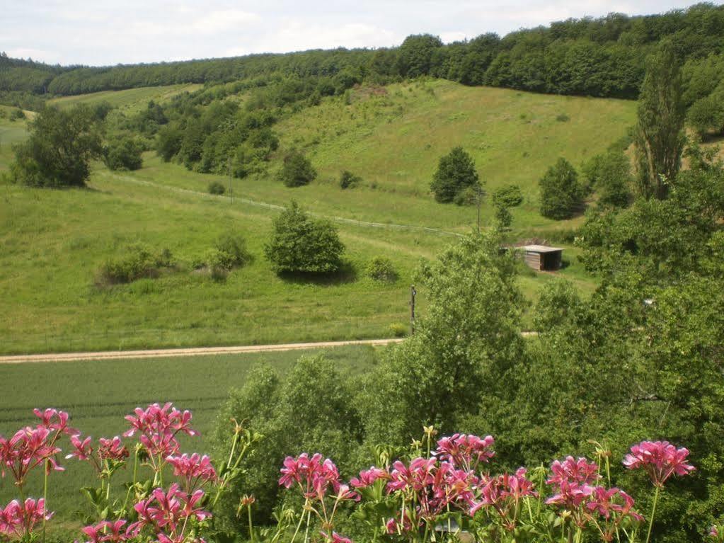 Landhotel Lembergblick Feilbingert Zewnętrze zdjęcie